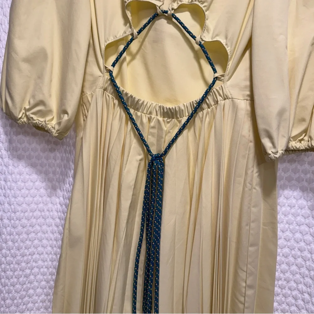 Beatrice B Pleated Yellow Dress - Picture 5 of 15
